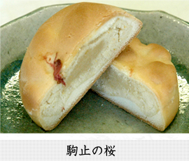 駒止の桜